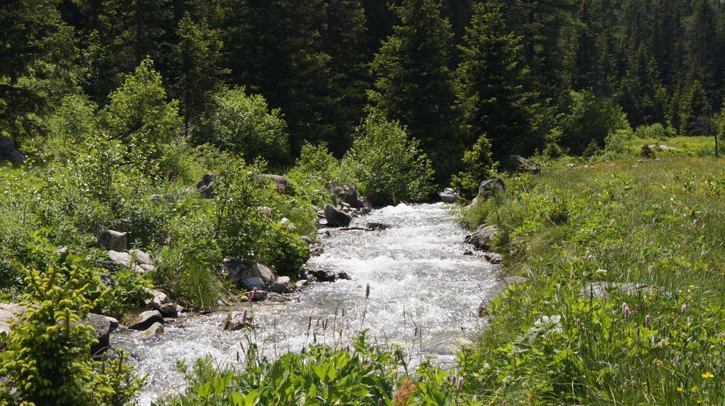 Relais D'Arpette Hotel Champex-Lac エクステリア 写真